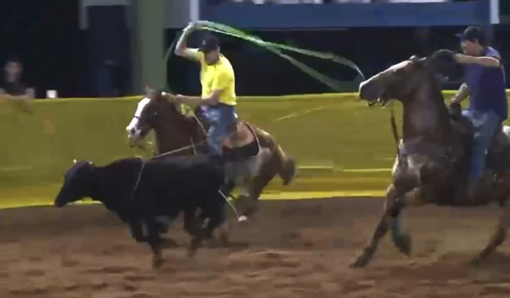 Sinop recebe 2ª edição do Team Roping do Verão no Rancho Colorado