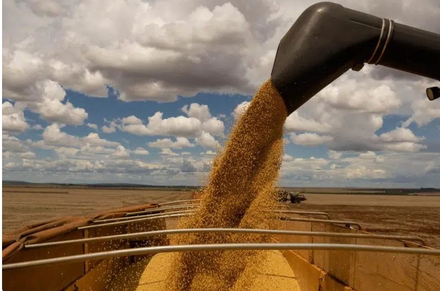 Bancada ruralista critica governo sobre medidas para conter preço dos alimentos