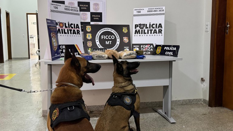 Força Integrada de Combate ao Crime Organizado faz operação no combate ao tráfico de drogas em Sorriso