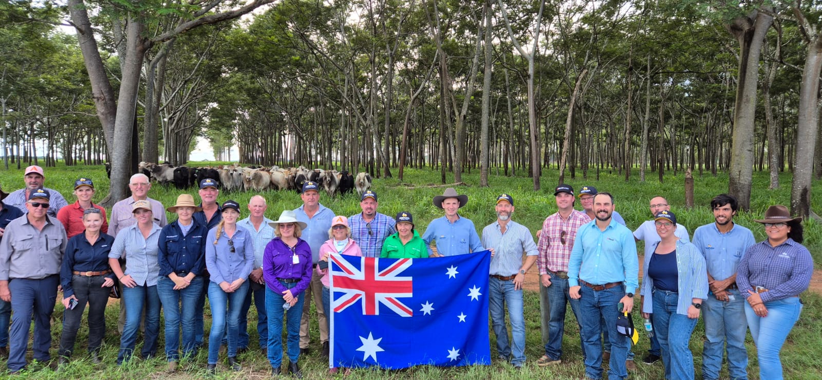 Comitiva australiana visita fazendas no norte de MT e se impressiona com tecnologia e gestão da pecuária