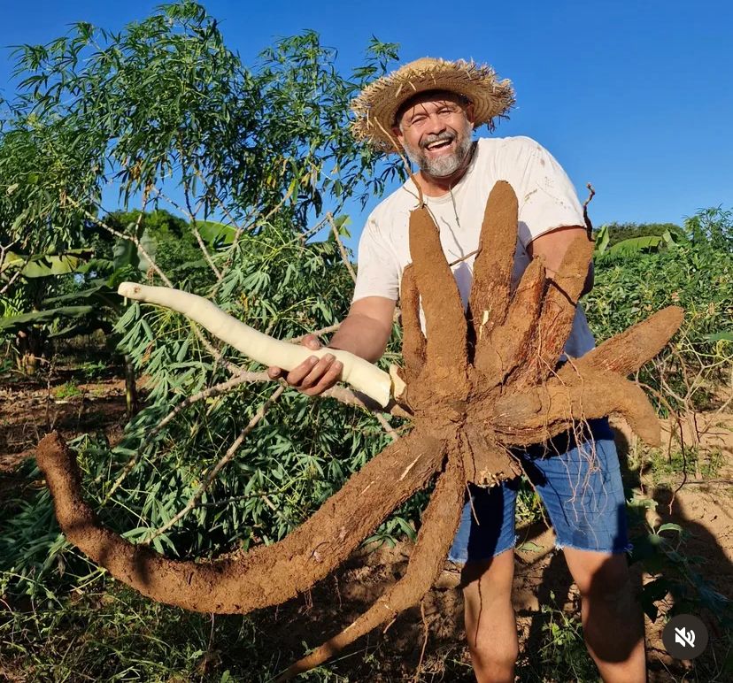 Engenheiro agrônomo transforma sítio em modelo de produtividade e vira sucesso nas redes sociais