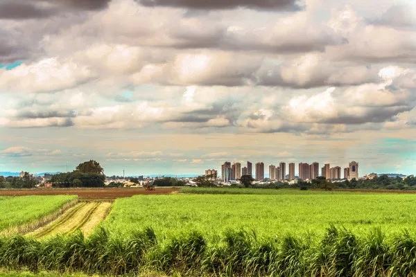 Do campo à cidade: a força molda o nosso cotidiano urbano