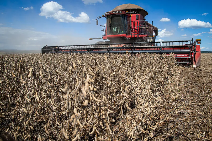 Valor da produção agrícola do Brasil cai quase 4% em 2024; Mato Grosso, maior produtor do país, também sente os efeitos