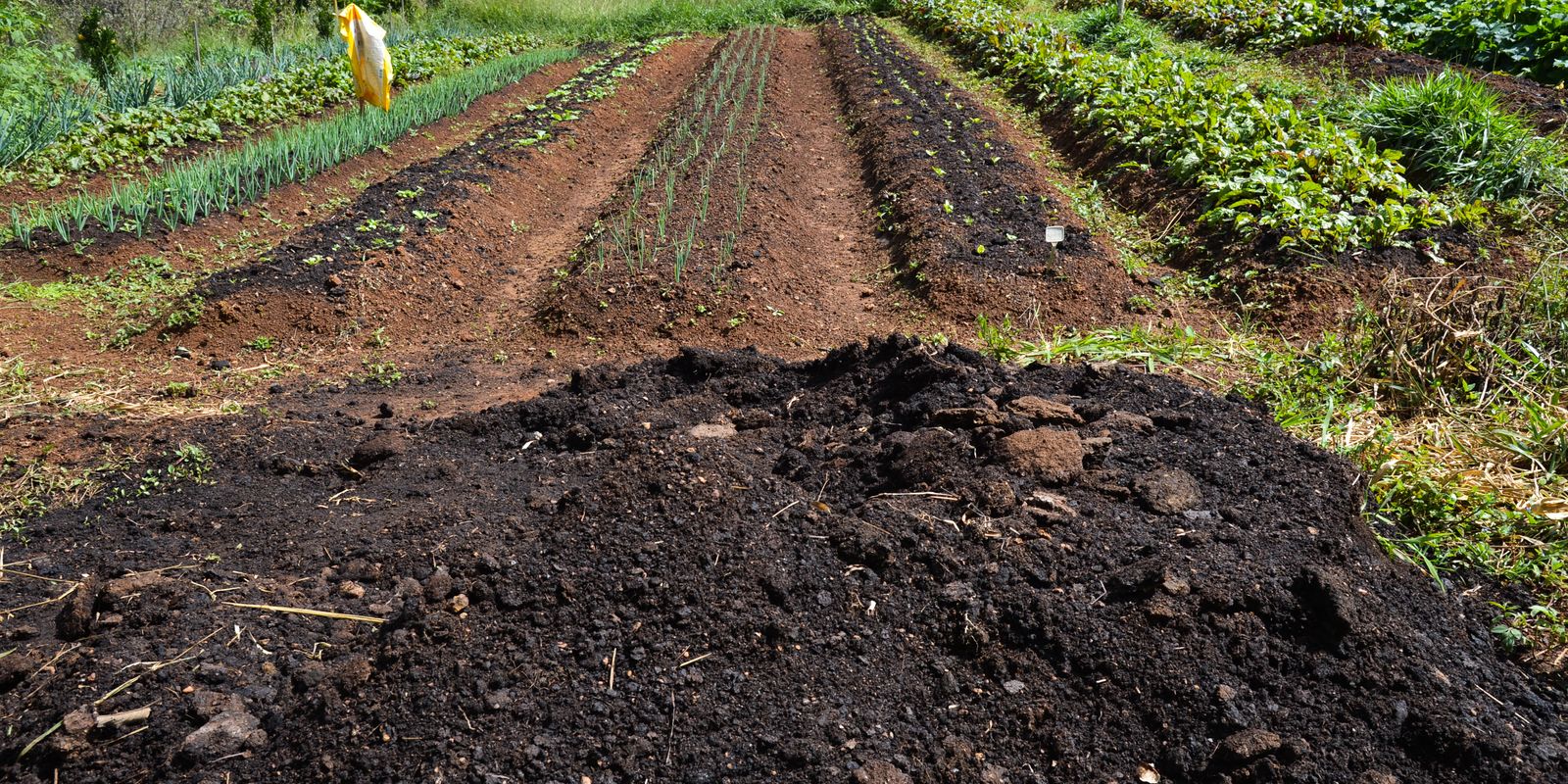 CMN amplia socorro a produtores afetados pelo clima