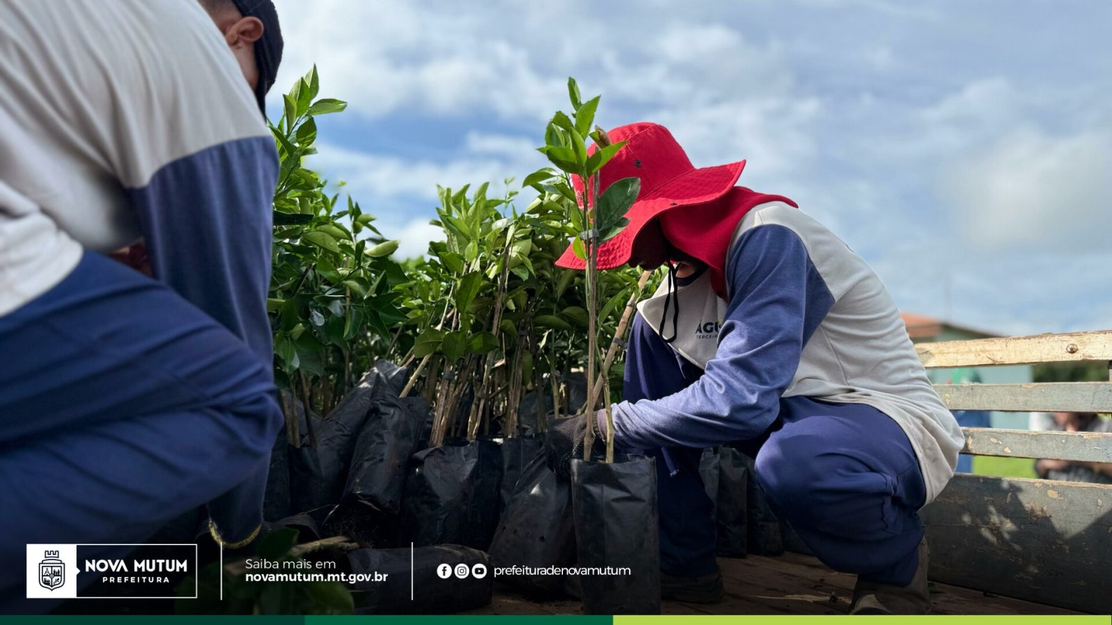 Nova Mutum aplica 100% dos recursos do FNDE na agricultura familiar e se consolida como referência em Mato Grosso