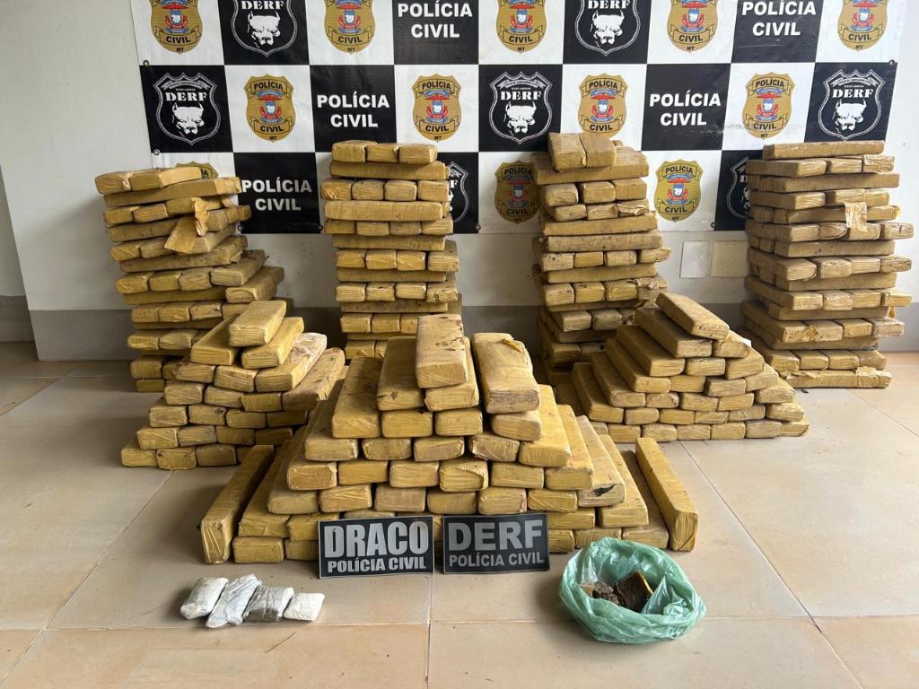 Polícia apreende 305 tabletes de maconha enterrados em Mato Grosso