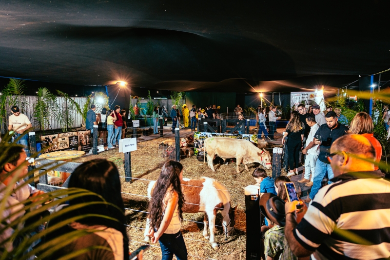 Exponorte: stand da Prefeitura de Sinop atrai grande público com Minifazenda