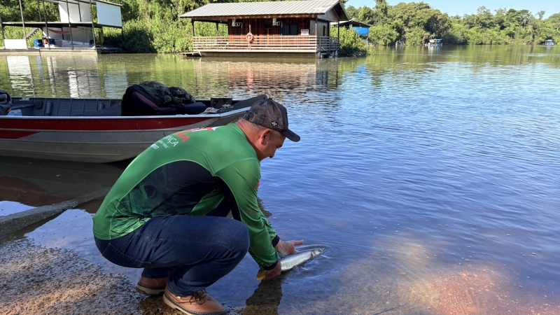 Dia do Pescador: Sinop é referência nacional em pesca esportiva e fortalece turismo aliado à preservação ambiental