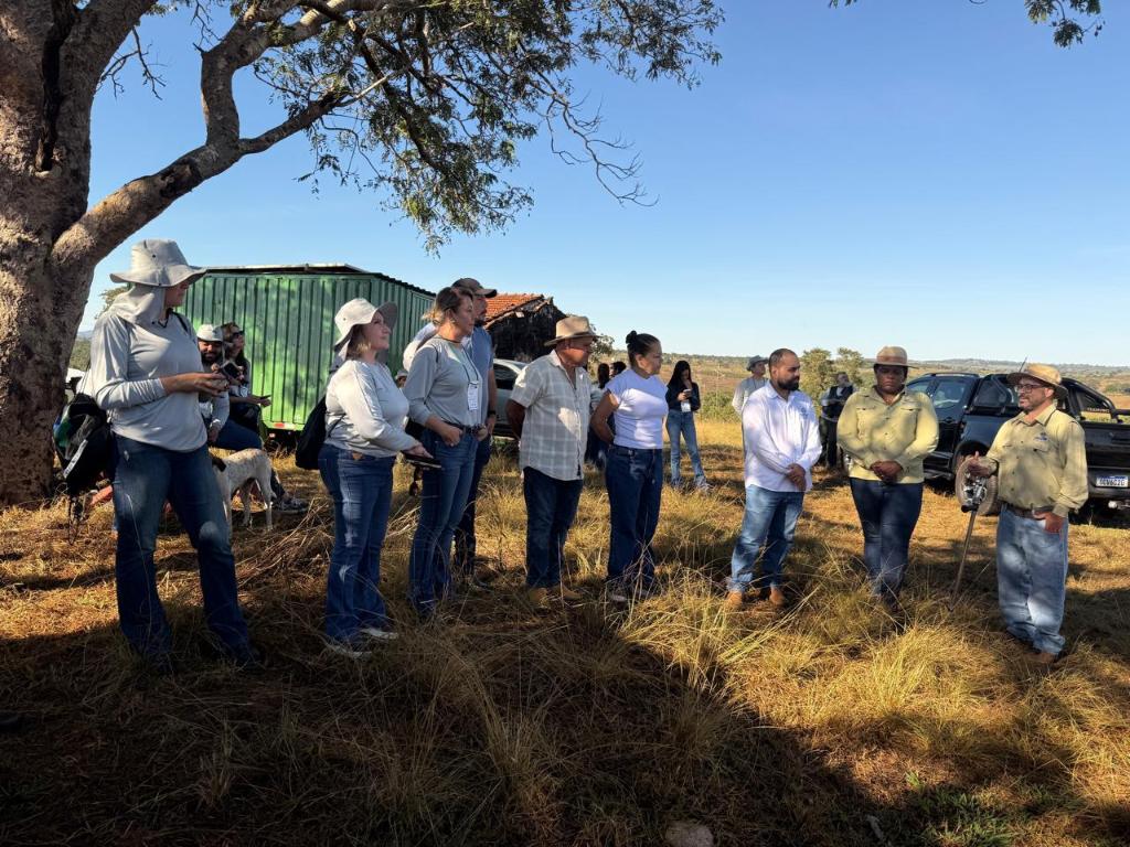 Programa Todos pelo Araguaia deve recuperar mil hectares de áreas degradadas até dezembro