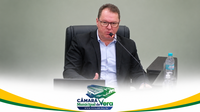 INDICAÇÃO da Câmara Municipal de Vera: realização de estudos técnicos para substituição de árvores sob a rede de energia elétrica
