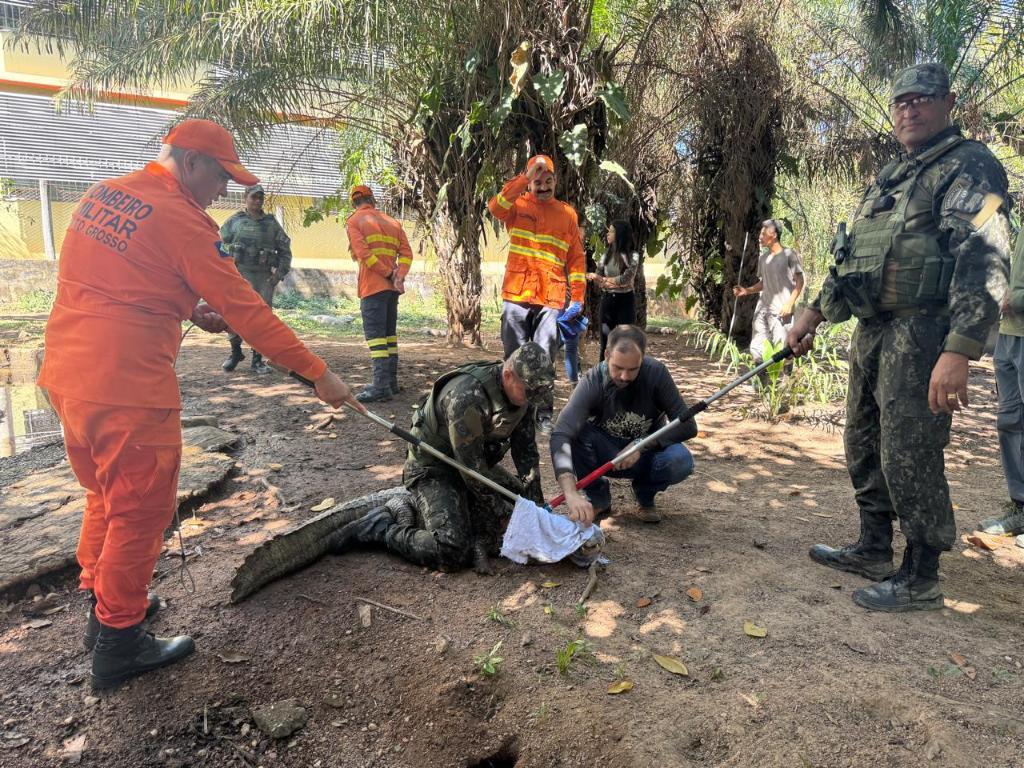 Sema e parceiros iniciam capacitação para manejo e contenção de fauna em caso de incêndios florestais