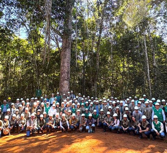 6ª Edição do evento Dia Na Floresta reforça a sustentabilidade do setor florestal do Mato Grosso