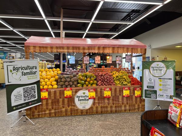 Ministério da Agricultura reconhece projeto do CAT Sorriso e coloca agricultura familiar de Mato Grosso em destaque nacional